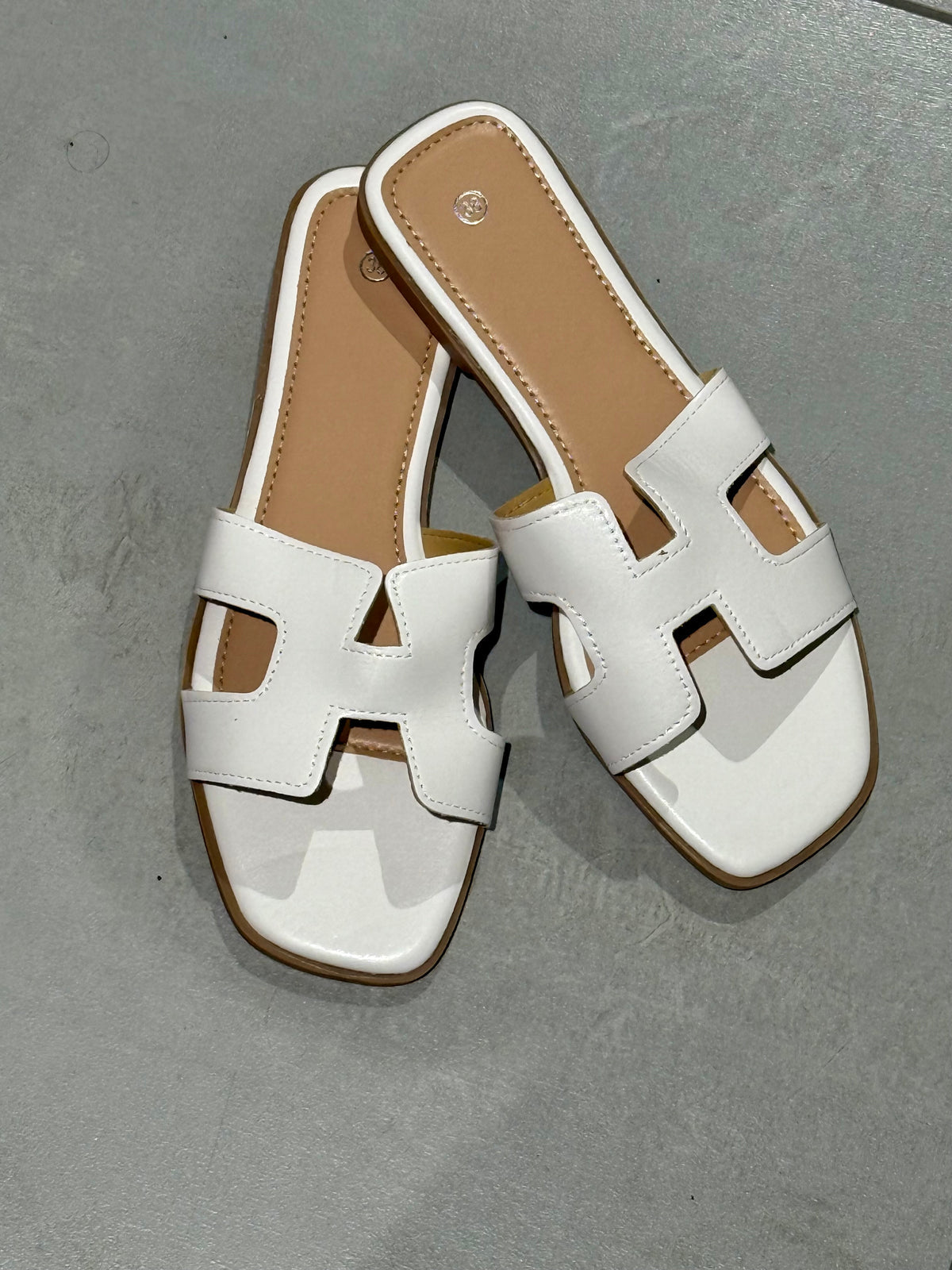 Ciabattina H